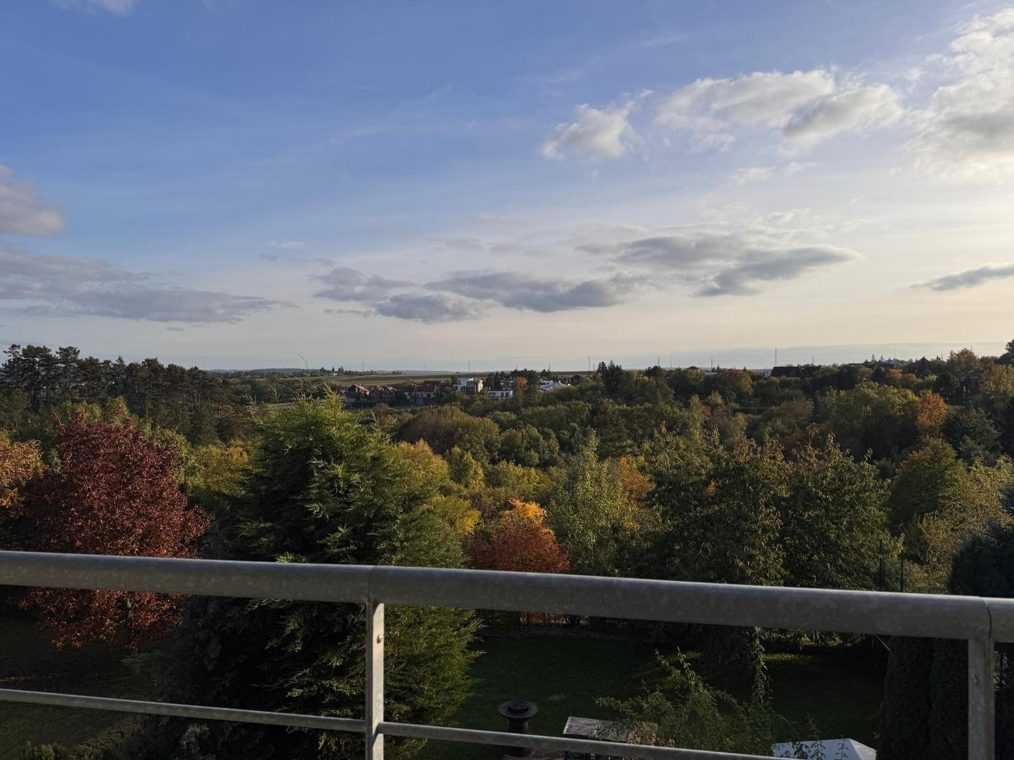 Diamondvilla, 4 Bedroom Apartment, Garden & Spa Praha Bagian luar foto